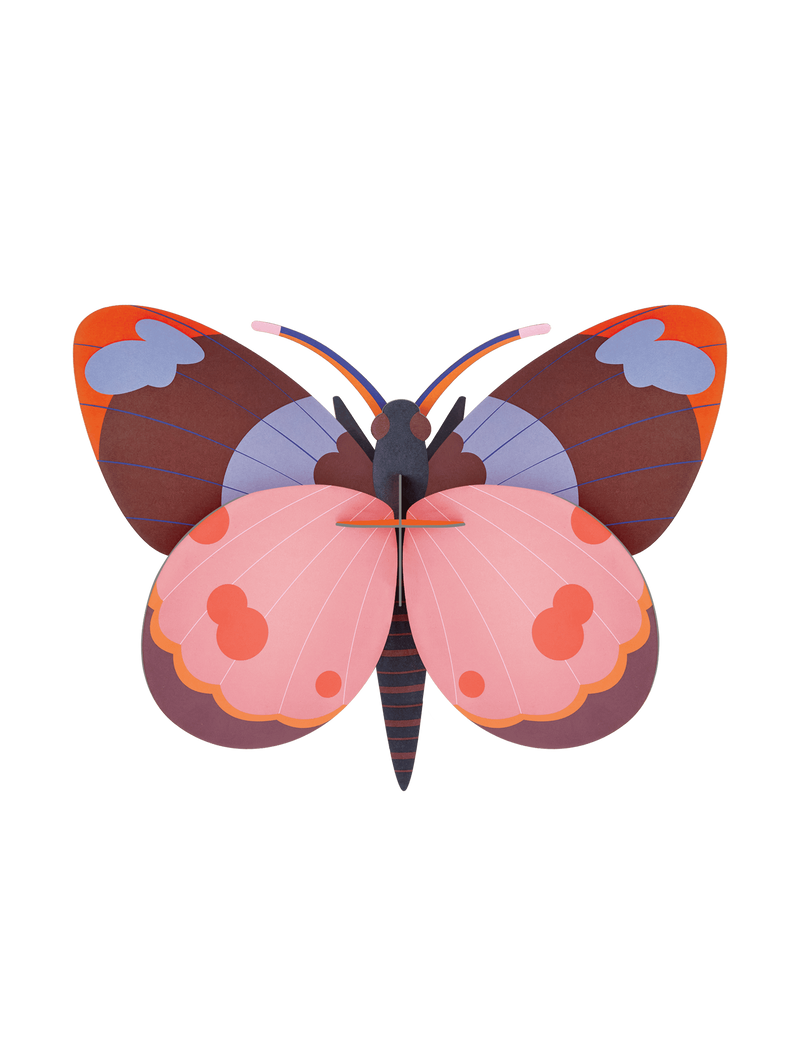 Bellissima Butterfly