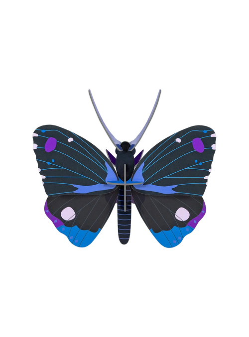 Blue Diadem Butterfly by Studio ROOF