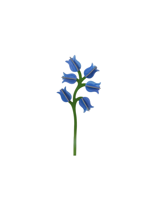 Campanula by Studio ROOF is a playful cardboard flower designed to bloom forever in your home.