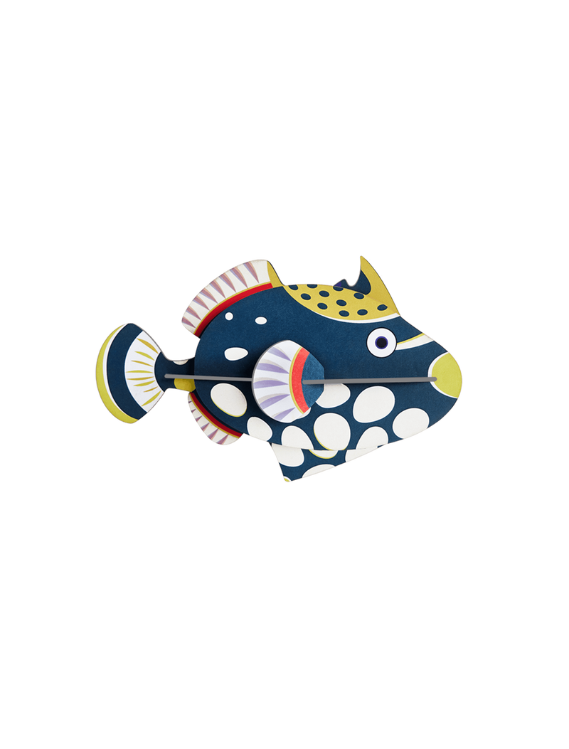 Clown Triggerfish