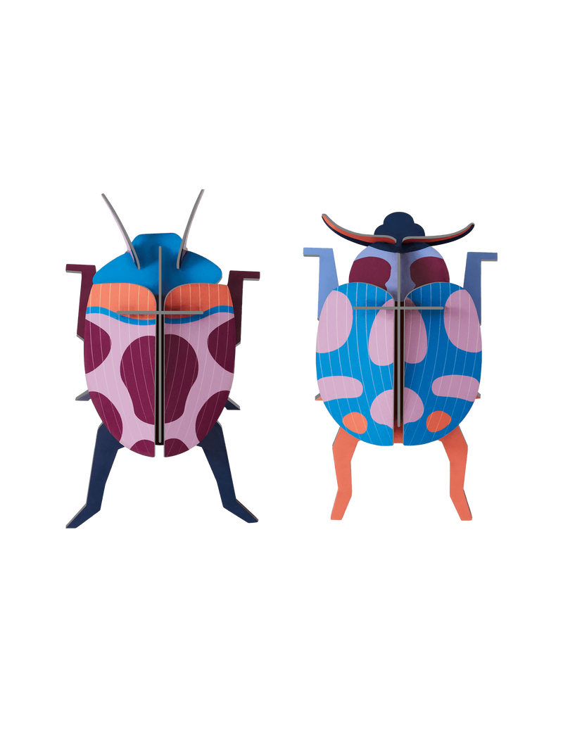 Coccinelle Couple