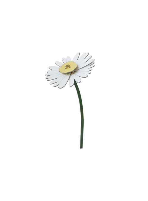 A joyful daisy by Studio ROOF that blooms forever in sculptural paper form.