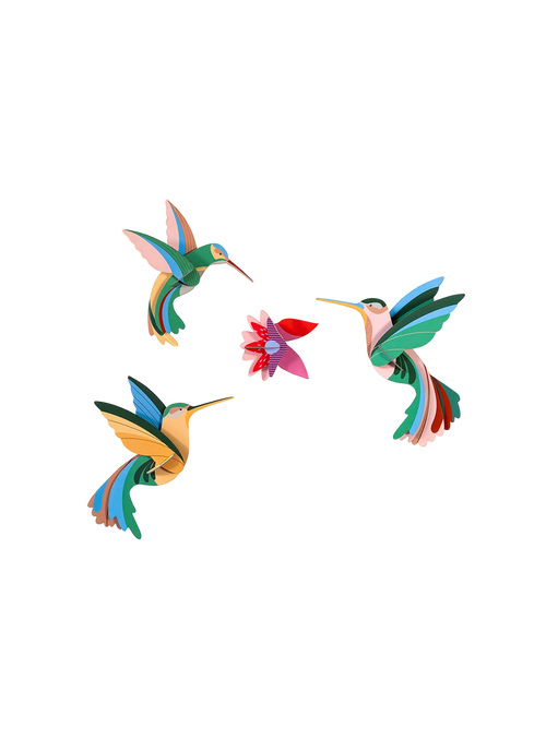 Dance of Hummingbirds by Studio ROOF