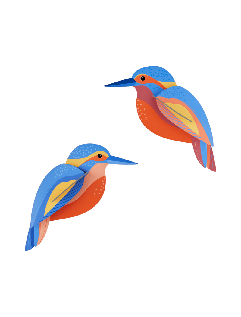 Kingfishers
