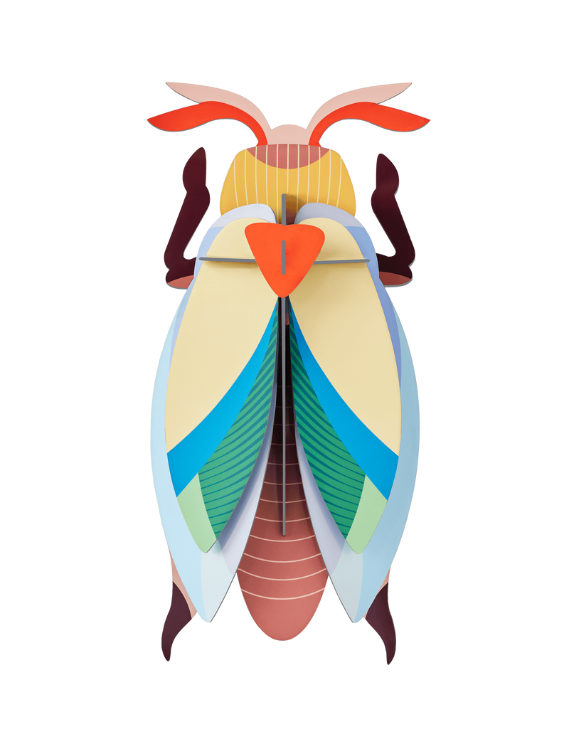 Lunar Jewel Beetle