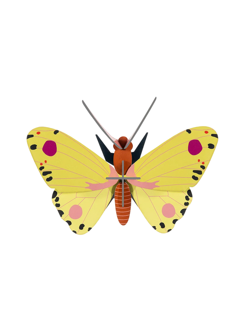 Luzerne Butterfly by Studio ROOF