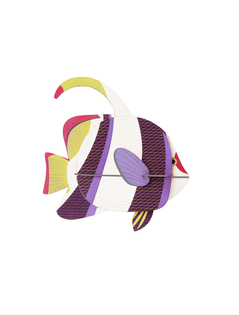 Marine Angelfish
