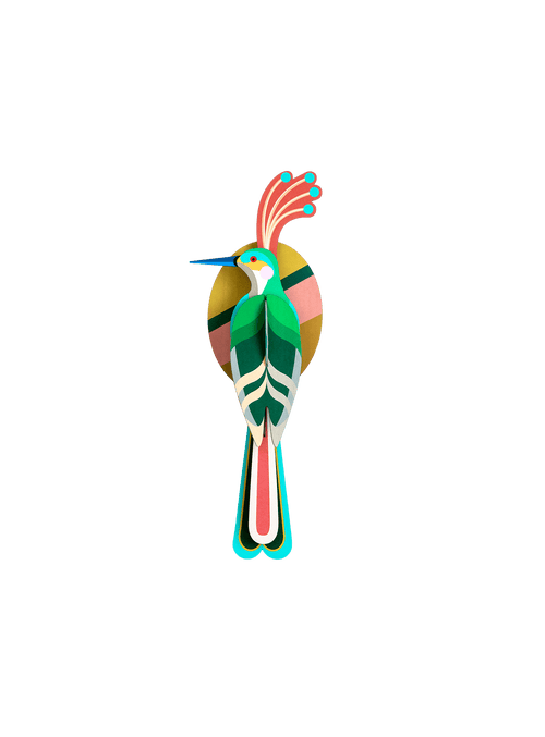 Bring bold colour to your walls with Nias by Studio ROOF, a striking exotic bird decoration made from recycled cardboard and printed with vegetable-based inks.