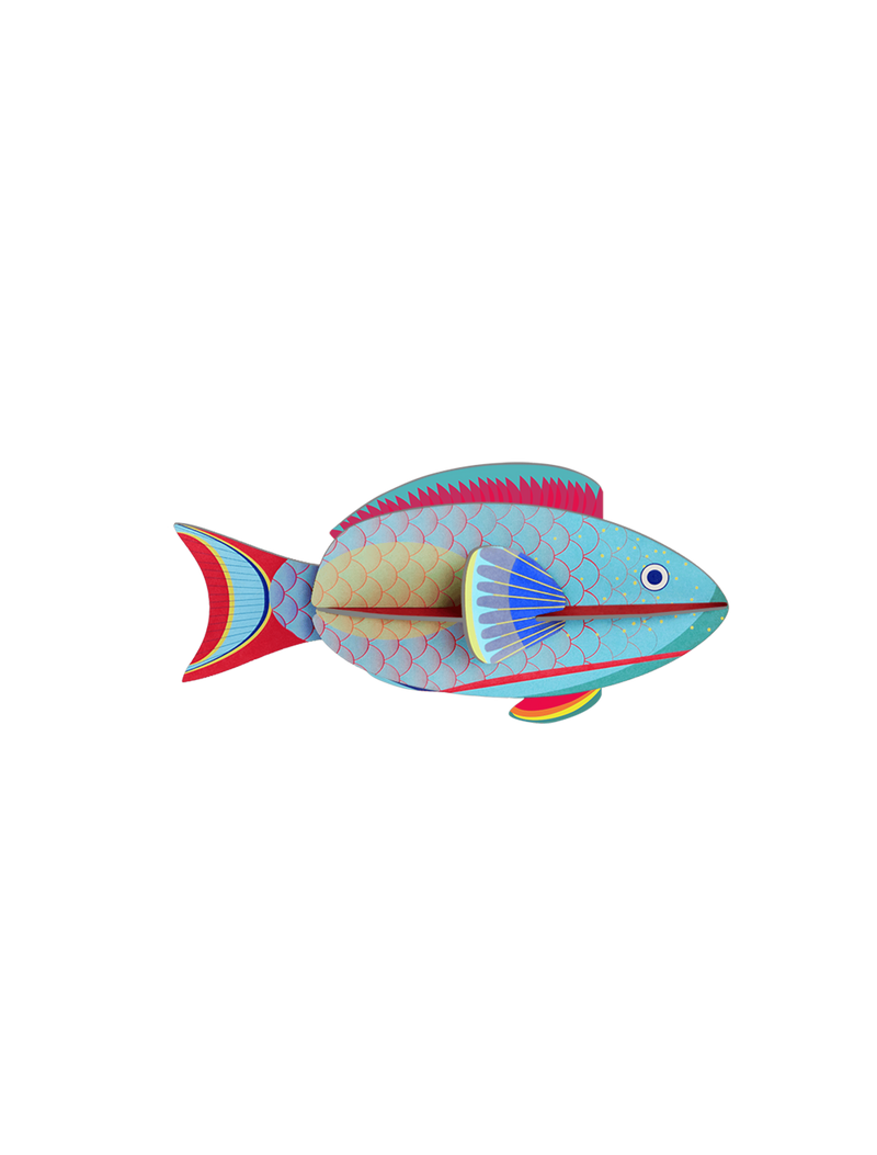 Parrotfish