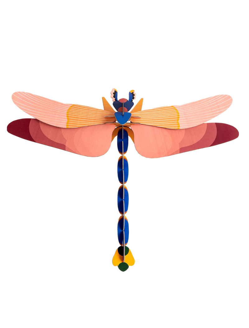 Pink Dragonfly
