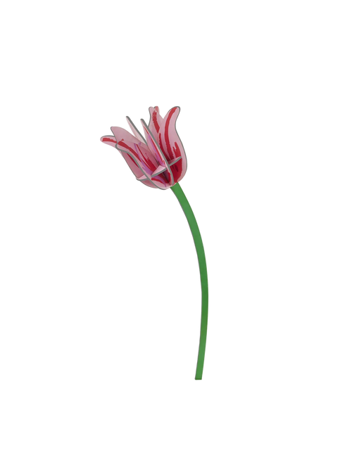 A playful tulip by Studio ROOF that blooms forever with sculptural paper petals and vibrant colour.