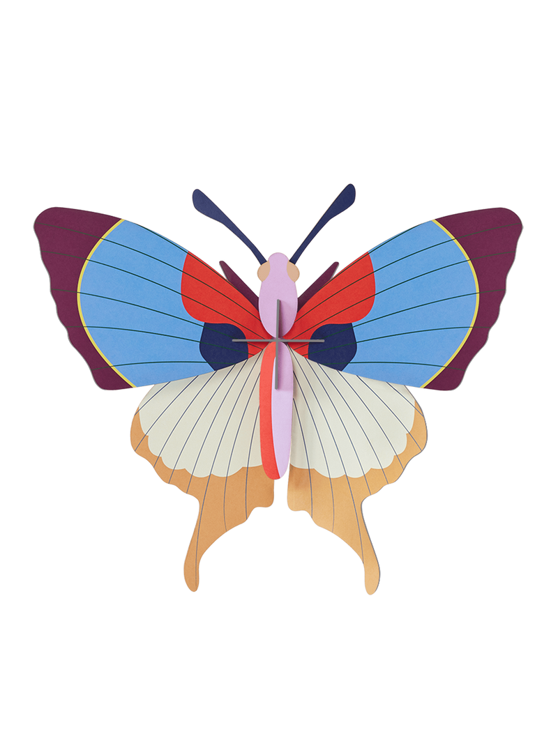Plum Fringe Butterfly
