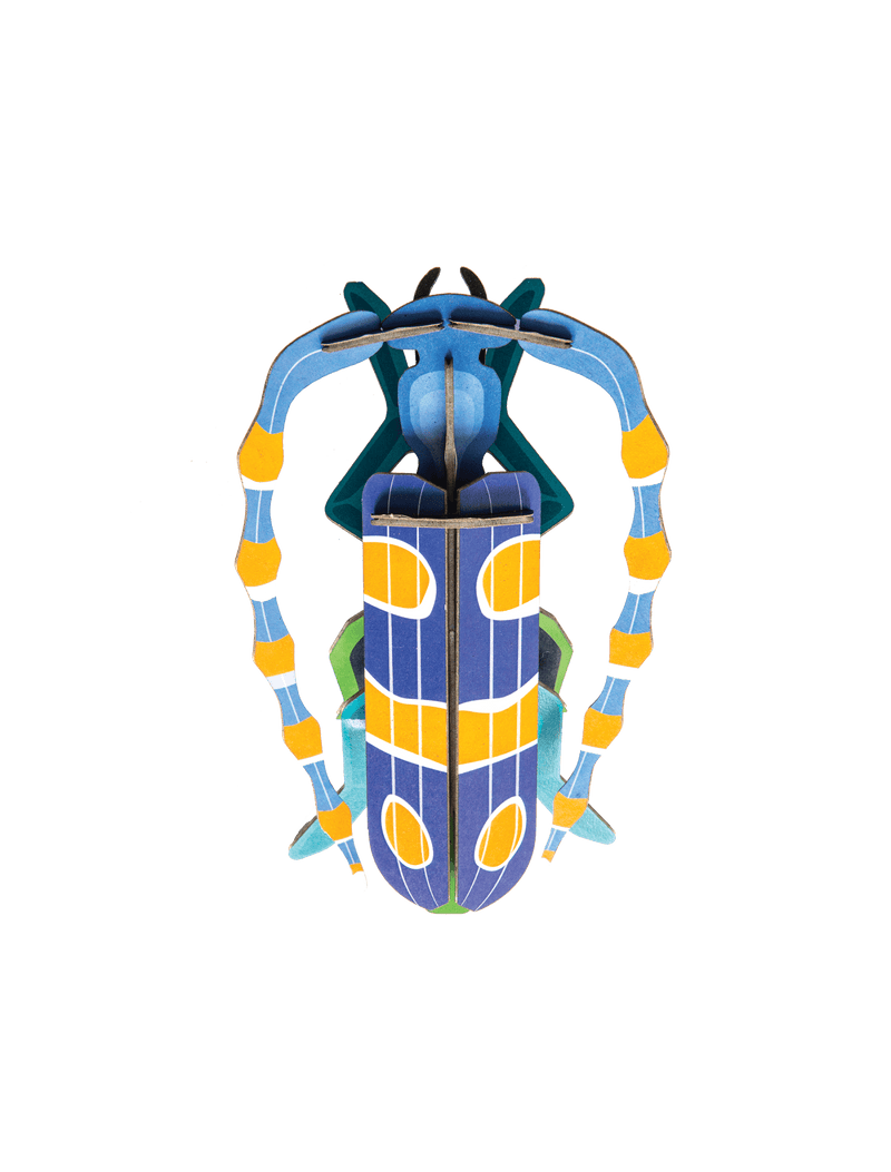 Rosalia Beetle