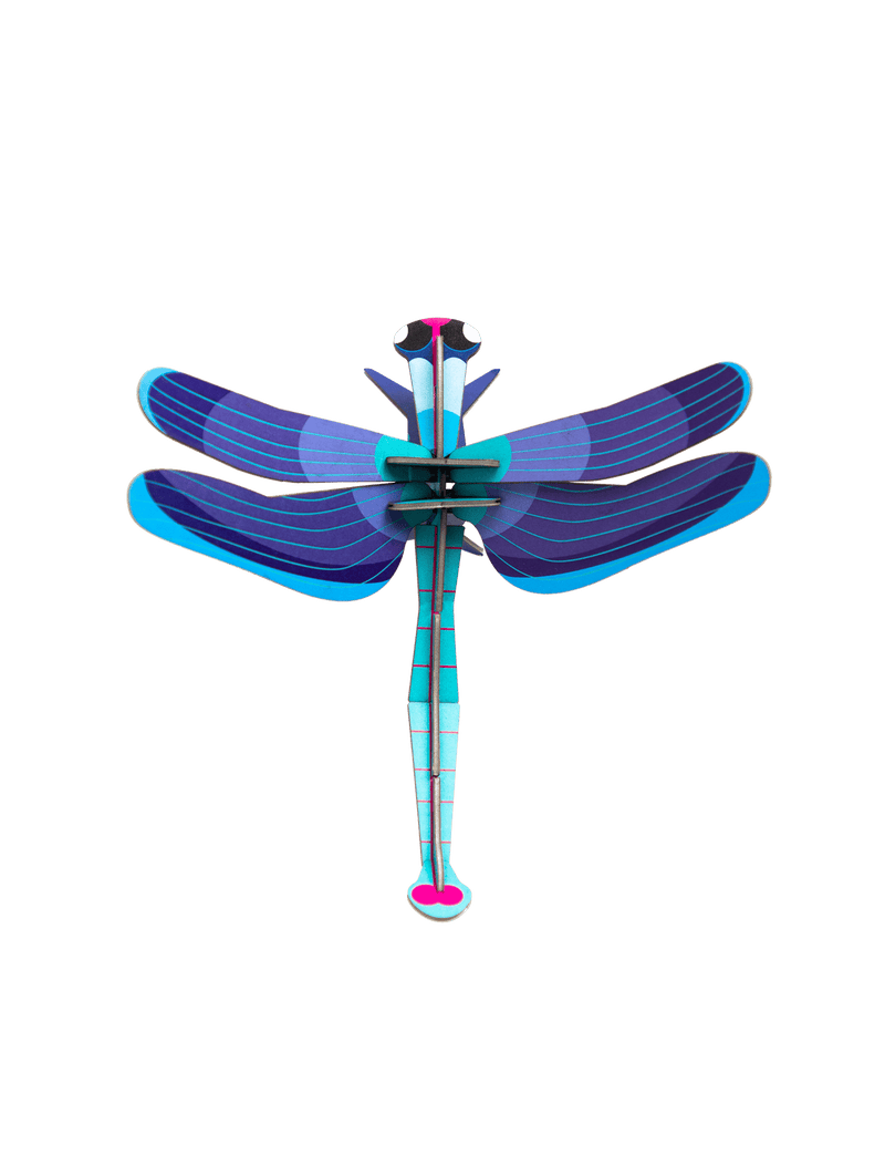 Sapphire Dragonfly