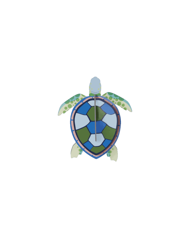 Sea Turtle