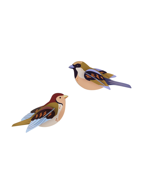Studio ROOF Sparrows bring playful birdlife and poetic nature-inspired charm to your walls.