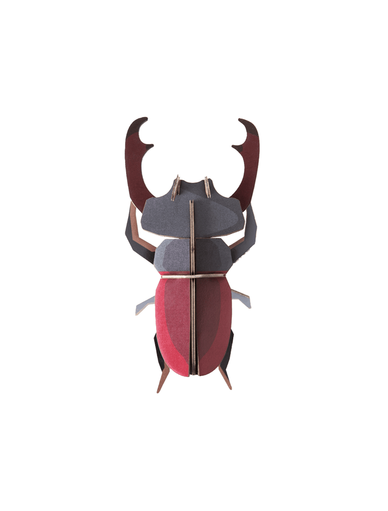 Stag Beetle