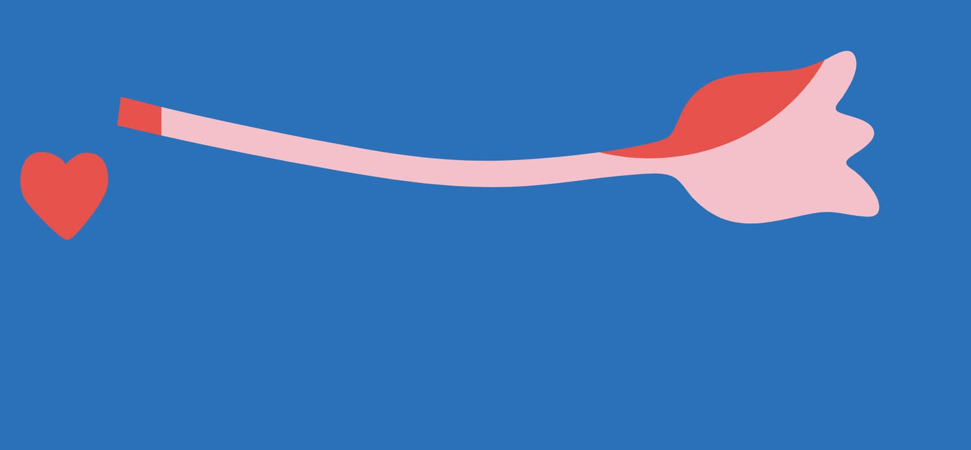 Studio Roof inspires imagination with colourful, sustainable designs made to play and create.