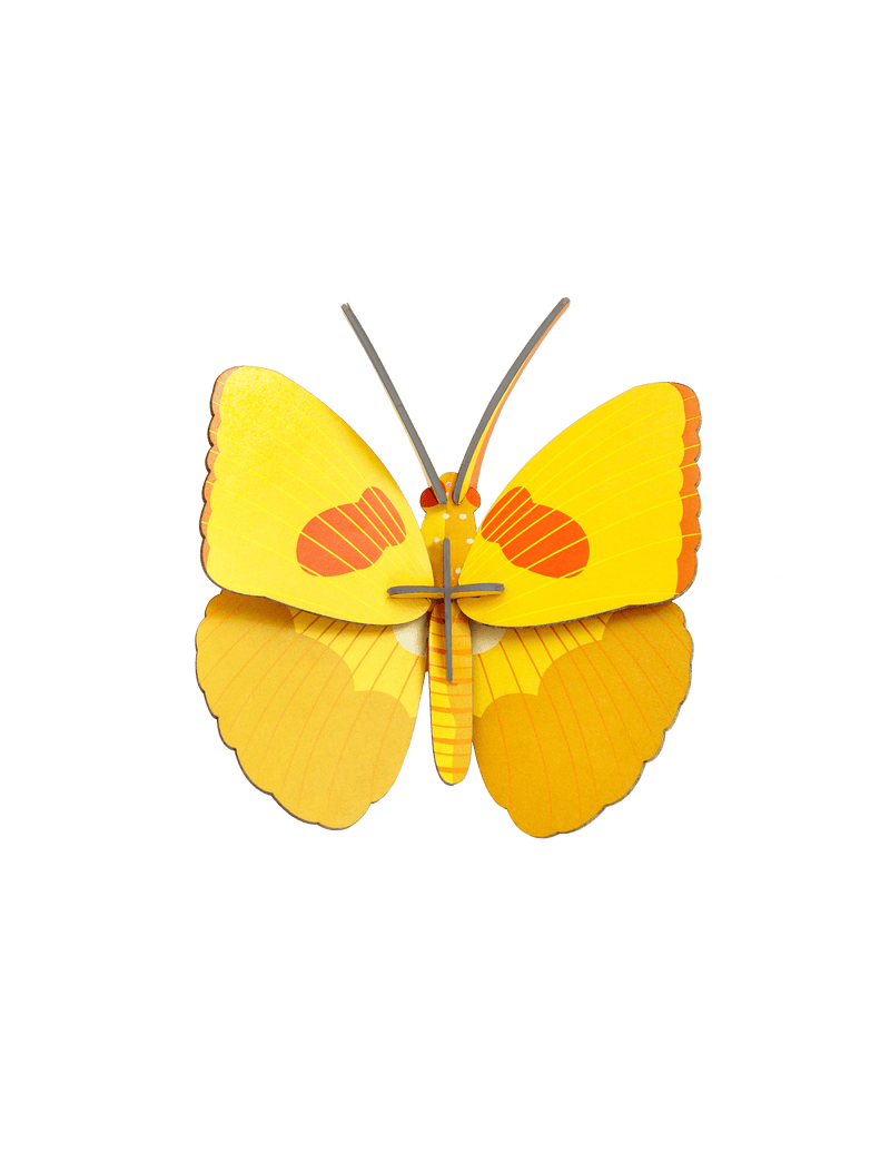 Yellow Butterfly